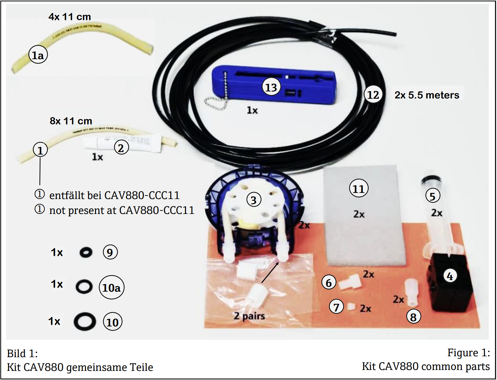 CAV880-CCC11+RAR2R3R5R7